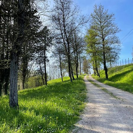 Agriturismo Podere Le Tombe ξενώνας Palaia Εξωτερικό φωτογραφία